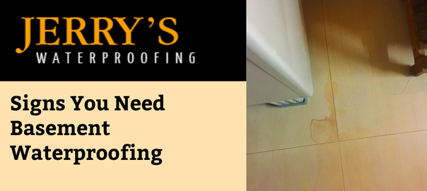 Signs You Need Basement Waterproofing