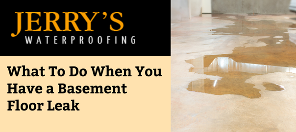 What to Do When You Have a Basement Floor Leak in Your Nebraska Home