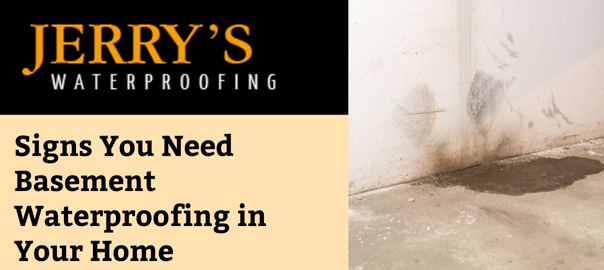 Signs You Need Basement Waterproofing in Your Iowa or Nebraska Home
