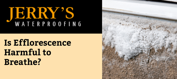 is efflorescence harmful to breathe?
