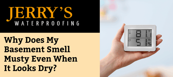 Why Does My Basement Smell Musty Even When It Looks Dry?