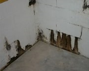 Basement Floor Leaks