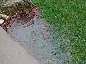 Water Pooling in Yard in Iowa and Nebraska